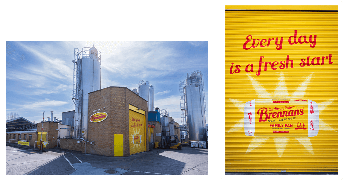 Beyond the bake Beyond the bake