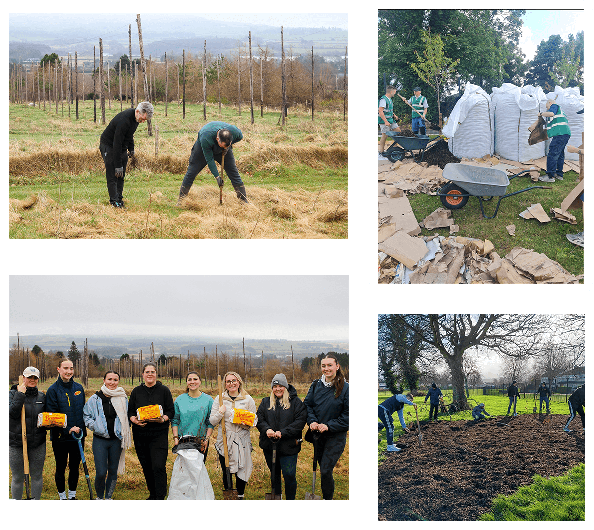 Planting for the future